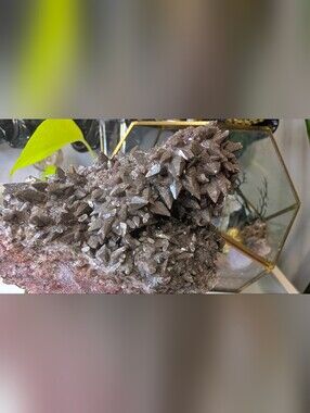 Rare Dogtooth Calcite Crystal Cluster